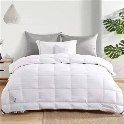 Sisipan Duvet Angsa